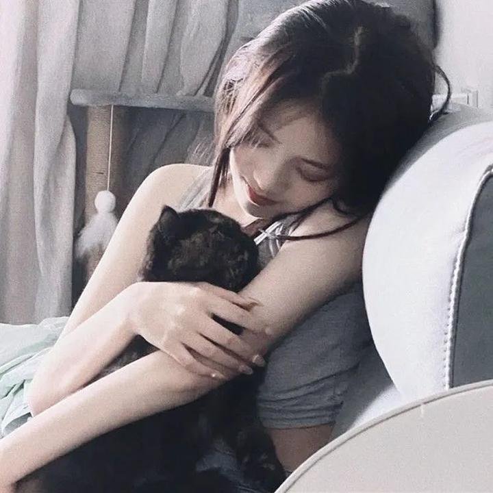 新蔷薇少女